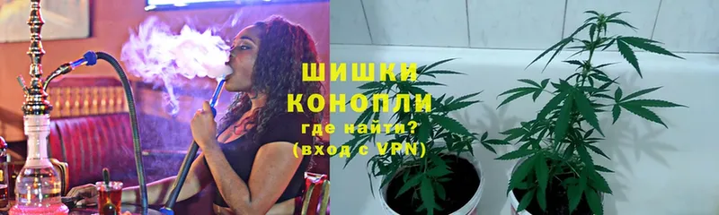 как найти   Майкоп  Бошки Шишки OG Kush 